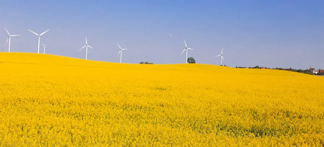 Przedłużenie Programu „Energia dla wsi” - plus 1 miliard na liczniku!